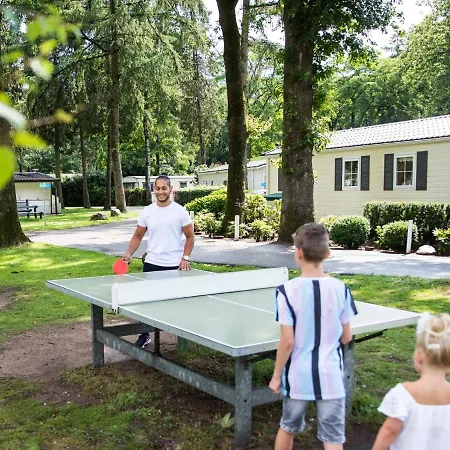 Comfortable With Dishwasher, On De Veluwe Holiday home Ede